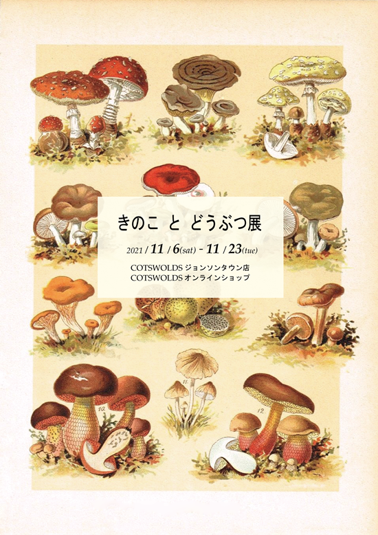 2021年きのことどうぶつ展_hp.png