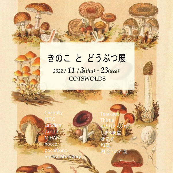 きのことどうぶつ展2022表web正方形-s.png