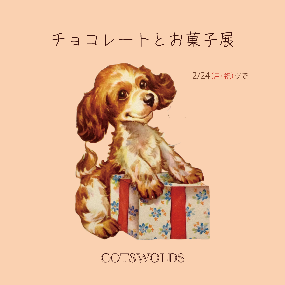 チョコレートとお菓子展正方形.png